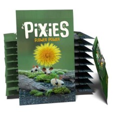 Pixies - Flower Power uitbr.NL