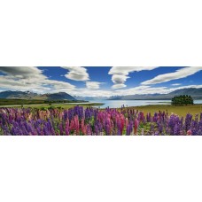 Puzzel Lake Tekapo 1000 Panor.Heye 29902